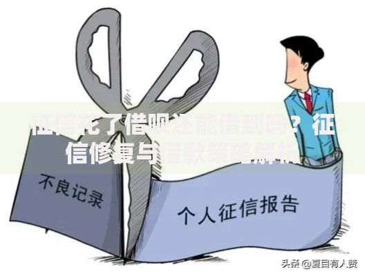 征信花了借呗还能借到吗？征信修复与借款策略解析