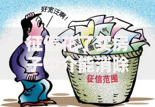 征信花了买房子中介能消除不良征信么?真实情况解析 征信花了买房子中介能消除不良征信么?真实情况解析
