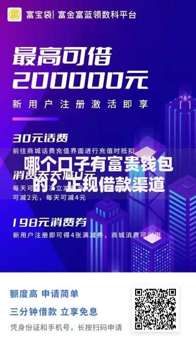 哪个口子有富贵钱包的？正规借款渠道解析与申请攻略