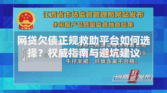 网贷欠债正规救助平台如何选择？权威指南与避坑建议