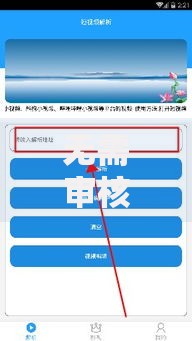 无需审核可以秒到账的贷款有哪些平台及风险解析