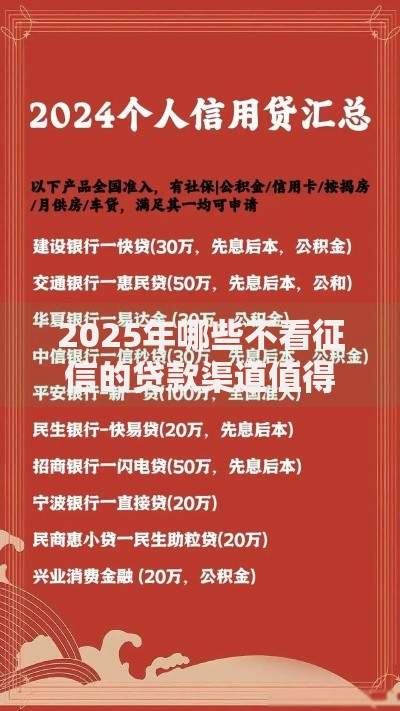 2025年哪些不看征信的贷款渠道值得关注