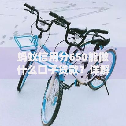 蚂蚁信用分650能做什么口子贷款？详解信用分贷款渠道与技巧