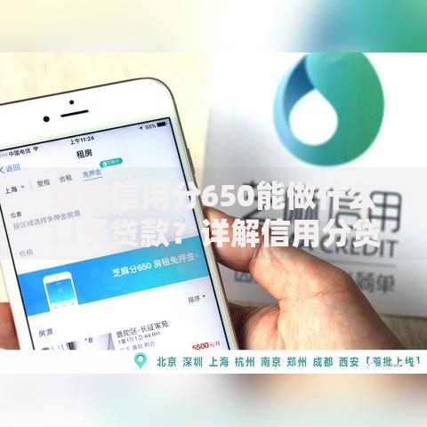 蚂蚁信用分650能做什么口子贷款？详解信用分贷款渠道与技巧