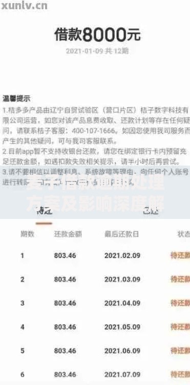 麦子借款逾期处理方案及影响深度解析
