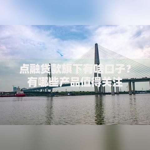 点融贷款旗下有啥口子？有哪些产品值得关注