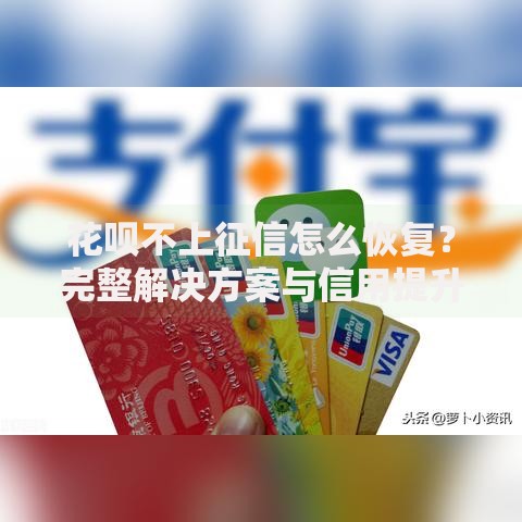 花呗不上征信怎么恢复？完整解决方案与信用提升技巧