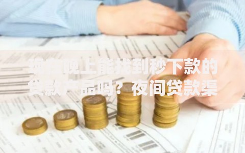 现在晚上能找到秒下款的贷款产品吗？夜间贷款渠道深度解析