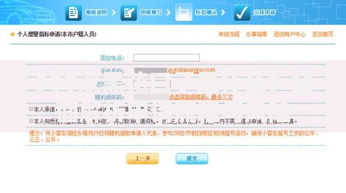 500双黑花口子是什么？全面解析申请流程与风险