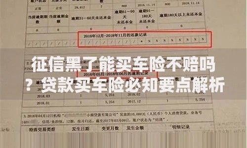 征信黑了能买车险不赔吗？贷款买车险必知要点解析