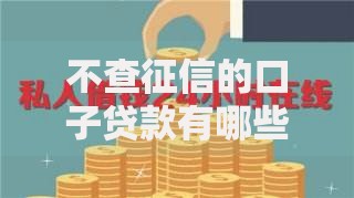 不查征信的口子贷款有哪些？一文解析低门槛借贷渠道