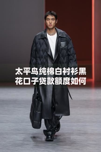 太平鸟纯棉白衬衫黑花口子贷款额度如何计算？