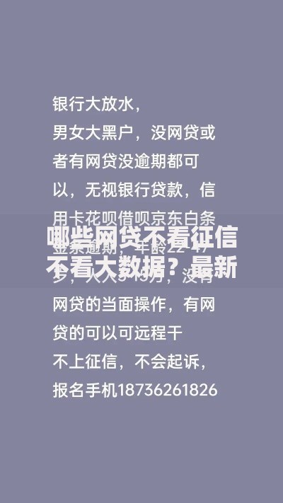 哪些网贷不看征信不看大数据？最新平台解析与避坑指南