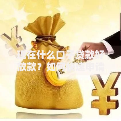 现在什么口子贷款好放款？如何快速申请低息渠道