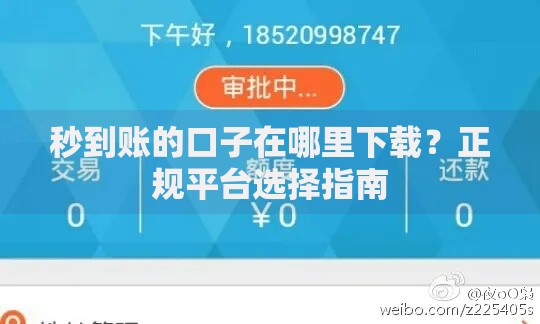 秒到账的口子在哪里下载？正规平台选择指南
