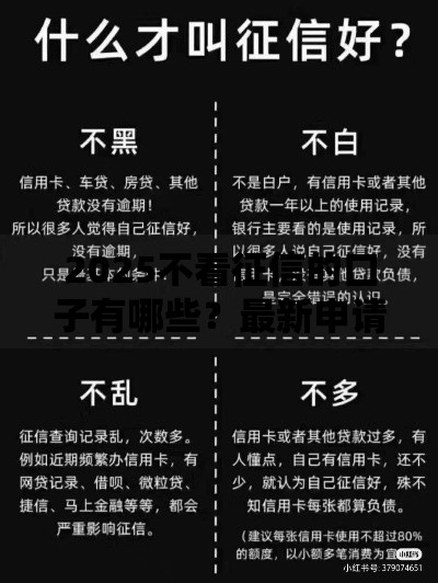2025不看征信的口子有哪些？最新申请攻略解析