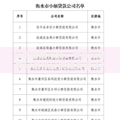 探索金融市场：贷款策略如何选择最优融资渠道？