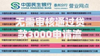 无需审核通过贷款3000申请流程与风险解析