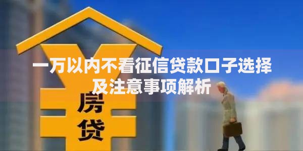 一万以内不看征信贷款口子选择及注意事项解析