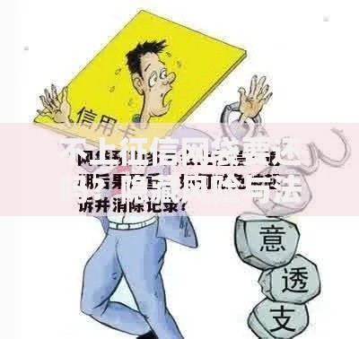 不上征信网袋要还吗？隐藏风险与法律后果解析