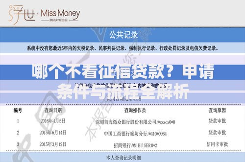 哪个不看征信贷款？申请条件与流程全解析