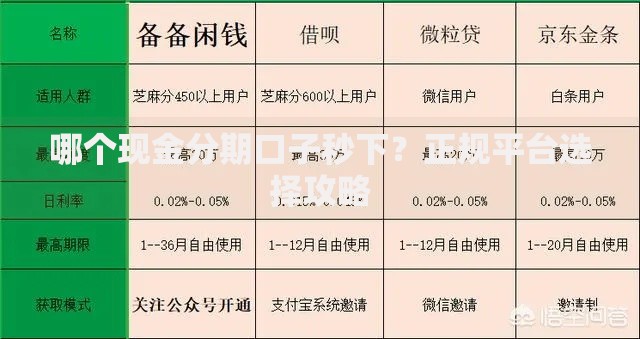 哪个现金分期口子秒下？正规平台选择攻略