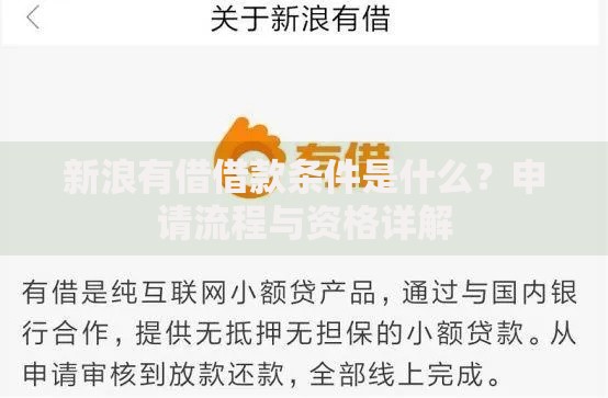 新浪有借借款条件是什么？申请流程与资格详解