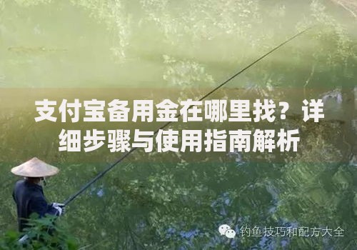 支付宝备用金在哪里找？详细步骤与使用指南解析