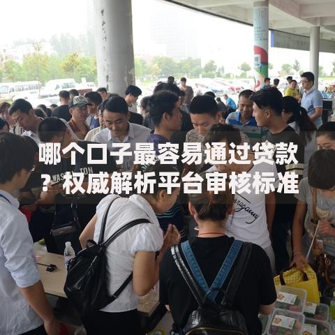 哪个口子最容易通过贷款？权威解析平台审核标准
