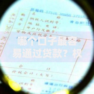 哪个口子最容易通过贷款？权威解析平台审核标准