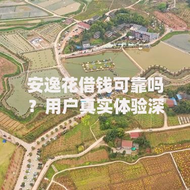 安逸花借钱可靠吗？用户真实体验深度解析