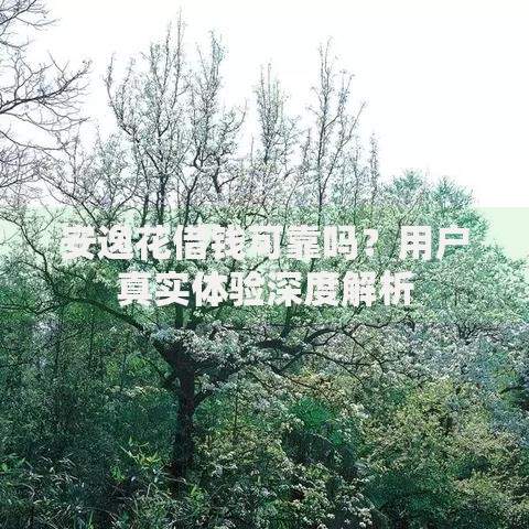 安逸花借钱可靠吗？用户真实体验深度解析