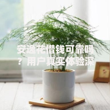 安逸花借钱可靠吗？用户真实体验深度解析