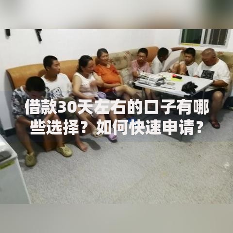 借款30天左右的口子有哪些选择？如何快速申请？