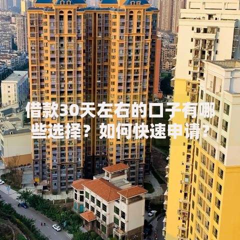 借款30天左右的口子有哪些选择？如何快速申请？