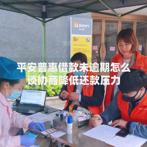 平安普惠借款未逾期怎么谈协商降低还款压力
