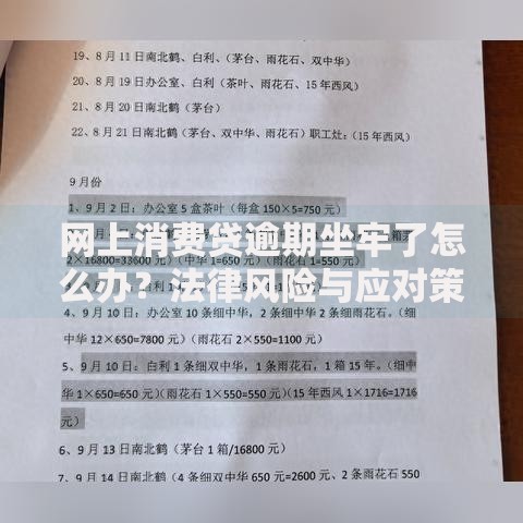 网上消费贷逾期坐牢了怎么办？法律风险与应对策略解析