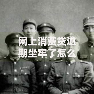 网上消费贷逾期坐牢了怎么办？法律风险与应对策略解析