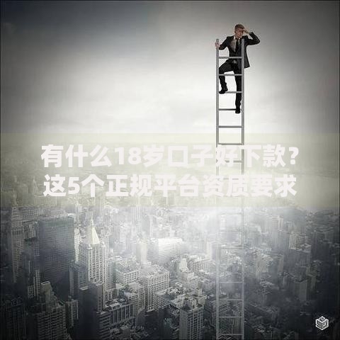 有什么18岁口子好下款？这5个正规平台资质要求低、审核快
