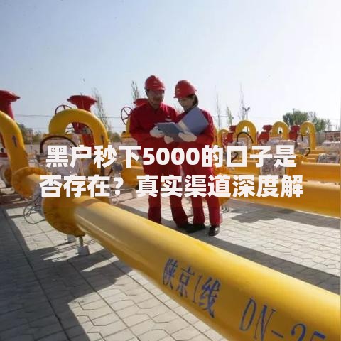 黑户秒下5000的口子是否存在？真实渠道深度解析