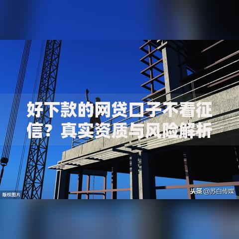 好下款的网贷口子不看征信？真实资质与风险解析