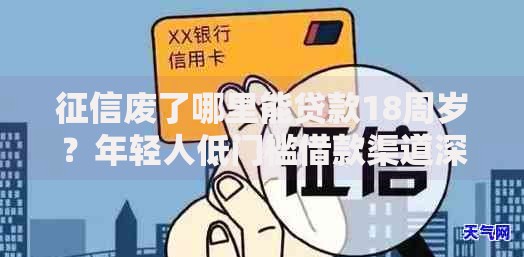 征信废了哪里能贷款18周岁？年轻人低门槛借款渠道深度解析