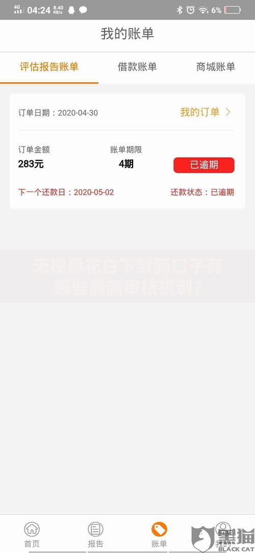 无视黑花白下款新口子有哪些最新审核机制？