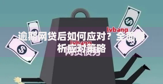 逾期网贷后如何应对？全面解析应对策略