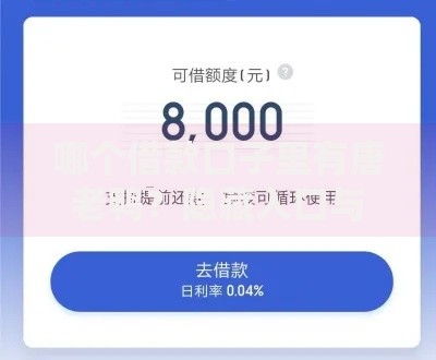 哪个借款口子里有唐老鸭？隐藏入口与风险解析