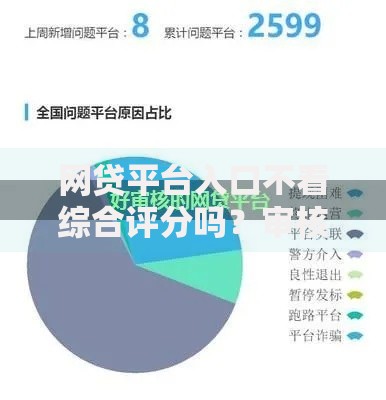 网贷平台入口不看综合评分吗？审核机制深度解析