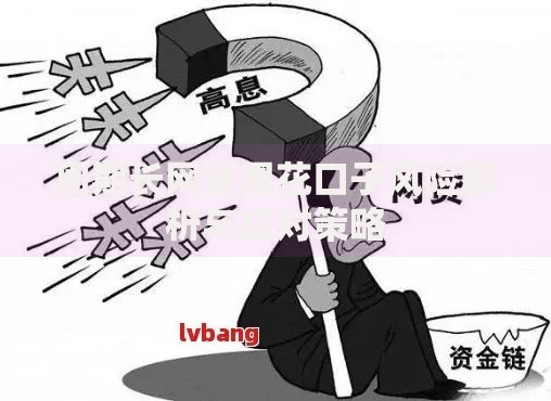 周期长网贷黑花口子风险解析与应对策略