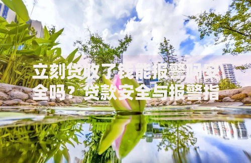 立刻贷收了钱能报警吗安全吗？贷款安全与报警指南