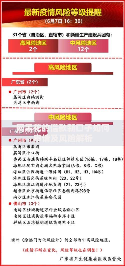 网黑花的借款新口子如何申请及风险解析