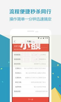 小额借款秒批口子如何快速获取资金？权威解析秒批流程与风险防范